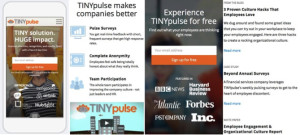 tinypulse mobile website